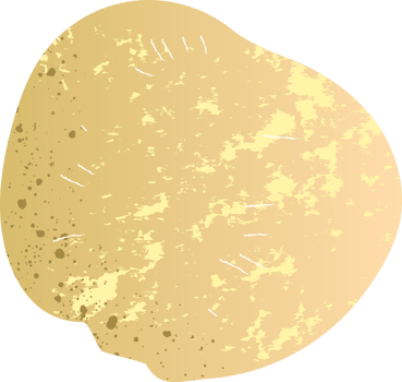 Whole rutabaga organic fresh vegetables png