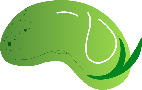 Whole broad bean organic vegetables png
