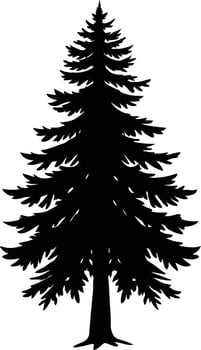 A black and white silhouette of a pine tree vector