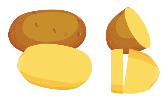 Potato Design And Illustration. vector