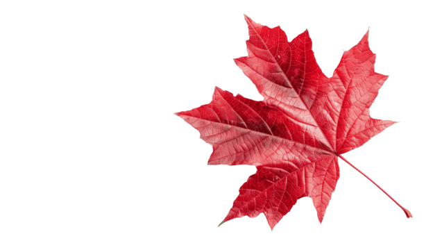 Red Maple Leaf on Transparent Background, Format png