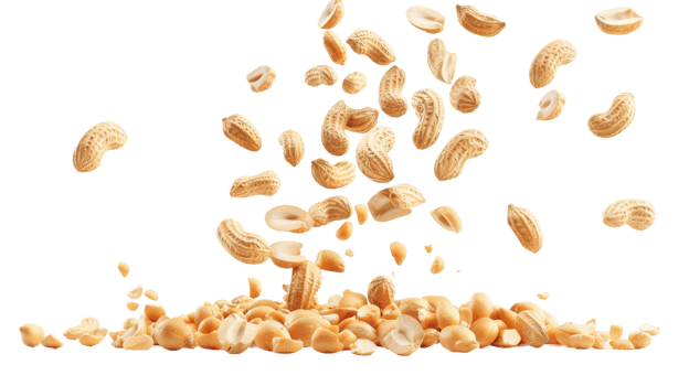 Peanuts on Transparent Background, Format png