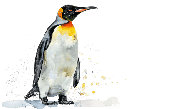 Penguin in Watercolor on isolated Transparent background. Format png