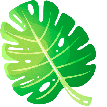 Leaf of exotic monstera plant growing on seashore for design of travel packages inviting to relax png