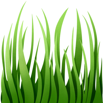 Wild growing grass. Green meadow. Field grass with high petals. Lawn plants. Weed with wavy leaves. png