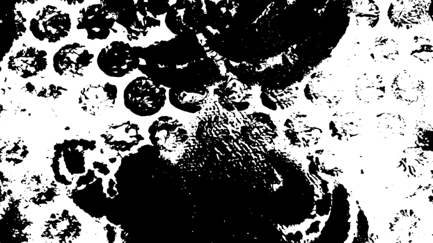 Rustic grunge texture with grain and stains. Abstract noise background. Graphic illustration with transparent background. png
