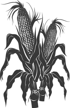 Silhouette corn black color only full vector