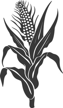 Silhouette corn black color only full vector