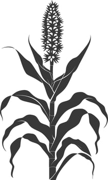Silhouette corn black color only full vector