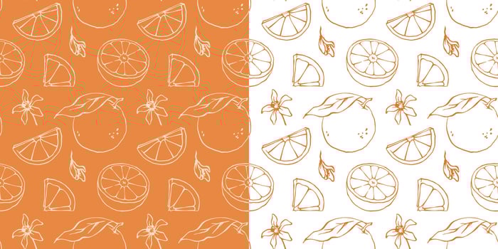 Outline orange seamless pattern with ink line sketch style citrus fruits and blossoms drawing vector