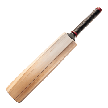 Professional cricket bat isolated with transparent background png
