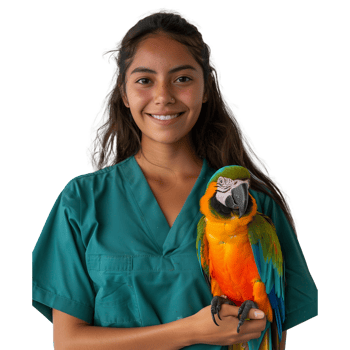 Veterinarian with a colorful parrot on her arm, smiling png