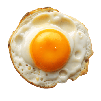 Close-up view of a sunny side up egg on toast png
