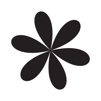 Star sparkle icon. Futuristic shapes. Christmas stars icons. Flashes from fireworks png