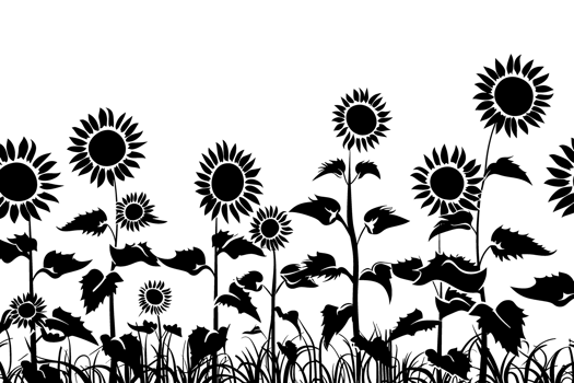 Silhouette outline of sunflowers AI generativ png
