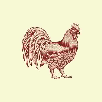 Illustration of Rooster with Hand Drawn Style Art design template, element graphic illustration template vector