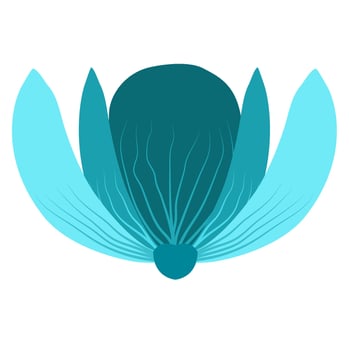 beautiful flower petal with detail for decoration background and your design vector