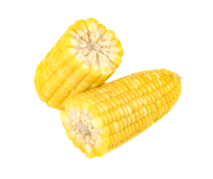 sweet corn isolated png
