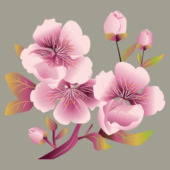 Cherry Blossoms Illustration vector