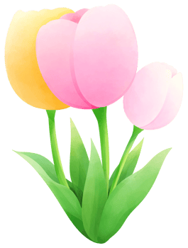 Tulips painting water color cartoon style hand drawn illustration sakura png