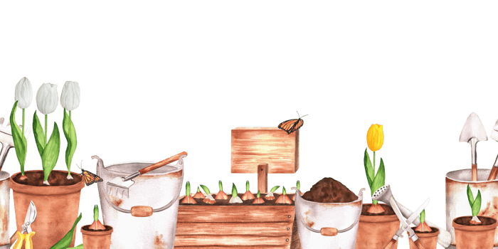 Seamless horizontal border garden tools. flowerpots with beautiful tulips, shears, rakes, shovels, watering can and bucket. Hand-drawn watercolor illustration. png