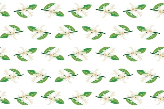 Abstract of chempaka flower with leaf on white background. vector