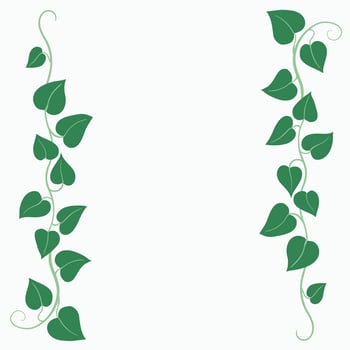 Floral ivy drawing decorative ornament flat design. vector
