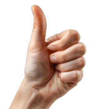 hand gestures on a transparent background png