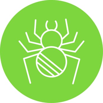 Spider Multi Color Circle Icon vector