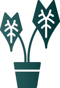 Alocasia Glyph Gradient Icon vector