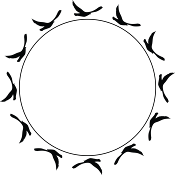 Flying birds silhouettes pattern wallpaper. transparent. isolated bird flying. tattoo design. template for card, package, and wallpaper. png