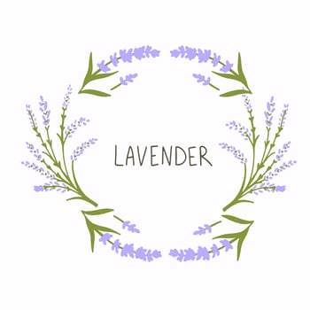 Lavender frame, Flowers decor greeting. Vintage bouquets and Provence vector