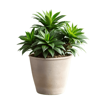 A small plant is in a brown pot png