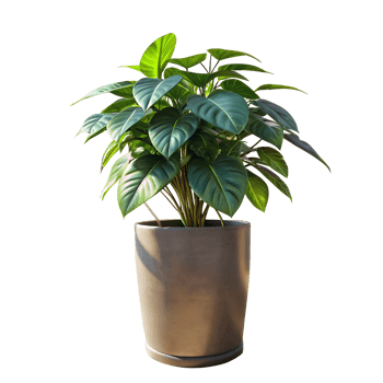 A tall green plant is standing in a blue pot png