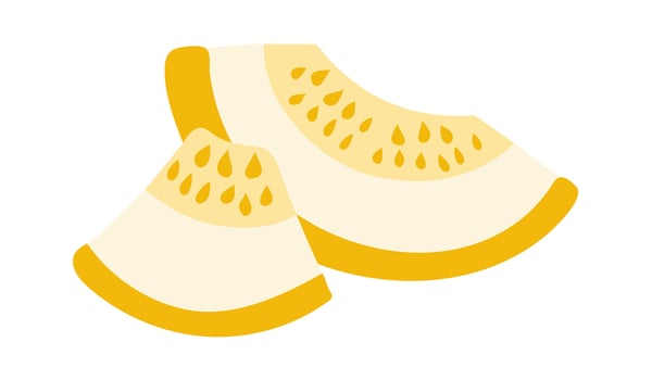 Quarter and half melon. Pieces of yellow melon. Summer fruit. Sweet pulp with seeds. Juicy Food. isolated object. Color image. illustration. vector