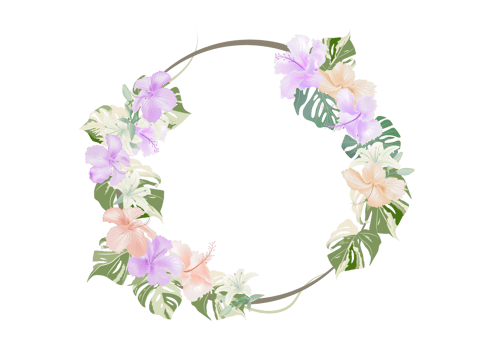 Hibiscus flower blossom on crown frame background png