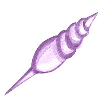 Illustrations of underwater life objects - sea shell, marine design. Watercolor hand drawn painting illustration. png