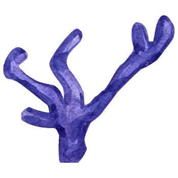 Underwater seaweed watercolor on white background. Marine collection png