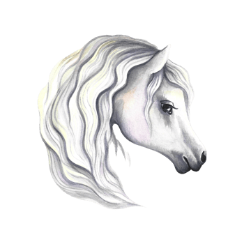 Portrait of a white horse. Watercolor illustration. For prints, stickers and labels. For postcards, business cards png
