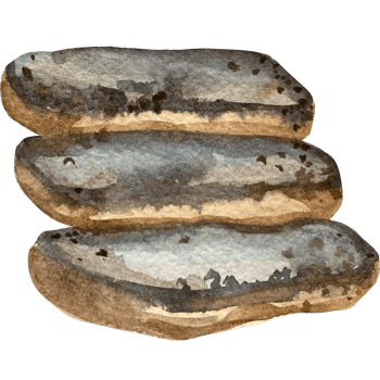 Natural Rocks Watercolor Illustration in Earth Tones. Hand Drawn art Stones for Landscaping and Nature Scenes png