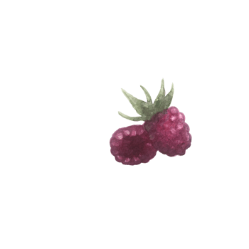 Watercolor berry clip art. png