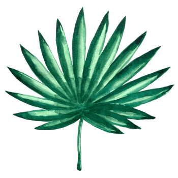 Watercolor exotic green leafs illustration. Watercolor leave set. Exotic colorful plant. Tree jungle green trees. Realistic botanical illustrations for wedding design, cards. png