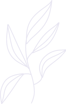 Organic boho shape, blob shape simple doodle line art png