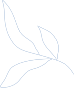 Organic boho shape, blob shape simple doodle line art png