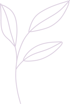 Organic boho shape, blob shape simple doodle line art png