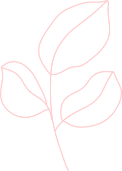 Organic boho shape, blob shape simple doodle line art png