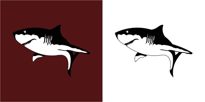 Shark Design Illustration vector