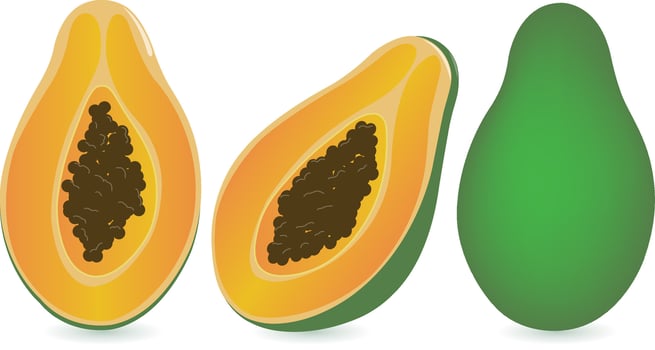 Healthy exotic ripe papaya fruit. Whole and half cut papaya tropical fruit. Natural organic papaya fruit. Summer fruits for healthy lifestyle. vector