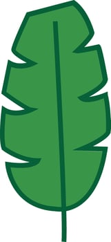 Leaf illustration design vector
