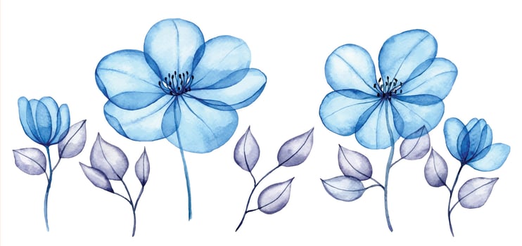 watercolor set of transparent flowers and leaves. transparent blue flowers in pastel colors. elements isolated on white background. design for wedding vector